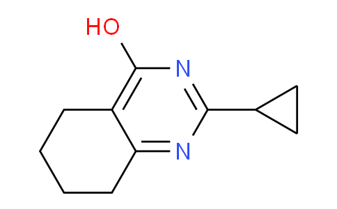CAS No. 1019017-03-8, 2-Cyclopropyl-5,6,7,8-tetrahydroquinazolin-4-ol