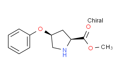 CAS No. 157187-62-7, methyl (2S,4S)-4-phenoxypyrrolidine-2-carboxylate