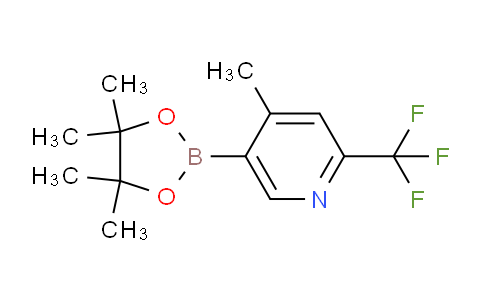 CAS No. 1612287-99-6, 2-(trifluoromethyl)-4-methyl-5-(4,4,5,5-tetramethyl-1,3,2-dioxaborolan-2-yl)pyridine