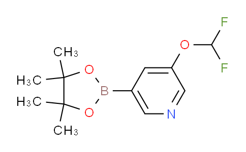 CAS No. 1257554-65-6, 3-(Difluoromethoxy)-5-(4,4,5,5-tetramethyl-1,3,2-dioxaborolan-2-yl)pyridine