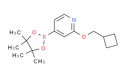CAS No. 1346708-00-6, 2-(Cyclobutylmethoxy)-4-(4,4,5,5-tetramethyl-1,3,2-dioxaborolan-2-yl)pyridine