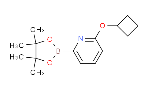 CAS No. 1310404-15-9, 2-Cyclobutoxy-6-(4,4,5,5-tetramethyl-1,3,2-dioxaborolan-2-yl)pyridine