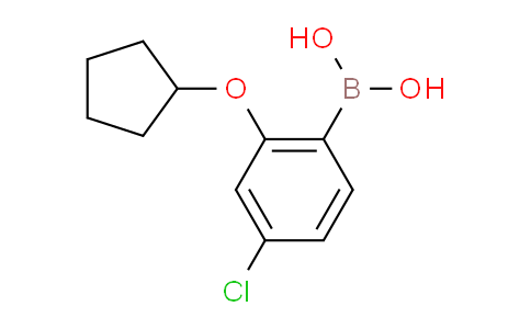 CAS No. 1256355-05-1, (4-Chloro-2-(cyclopentyloxy)phenyl)boronic acid
