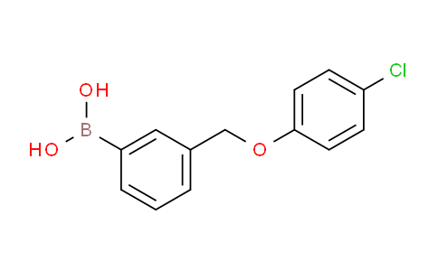 CAS No. 1256358-70-9, (3-((4-Chlorophenoxy)methyl)phenyl)boronic acid