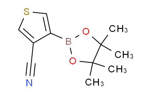 CAS No. 1073354-61-6, 4-(4,4,5,5-Tetramethyl-1,3,2-dioxaborolan-2-yl)thiophene-3-carbonitrile