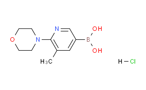 CAS No. 1231955-78-4, (5-Methyl-6-morpholinopyridin-3-yl)boronic acid hydrochloride