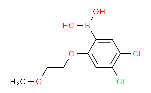 CAS No. 1256354-99-0, (4,5-Dichloro-2-(2-methoxyethoxy)phenyl)boronic acid