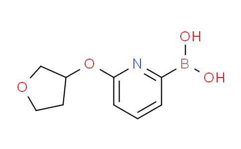CAS No. 1309982-32-8, (6-((Tetrahydrofuran-3-yl)oxy)pyridin-2-yl)boronic acid