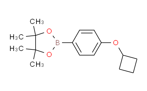 CAS No. 1432572-02-5, 2-(4-Cyclobutoxyphenyl)-4,4,5,5-tetramethyl-1,3,2-dioxaborolane