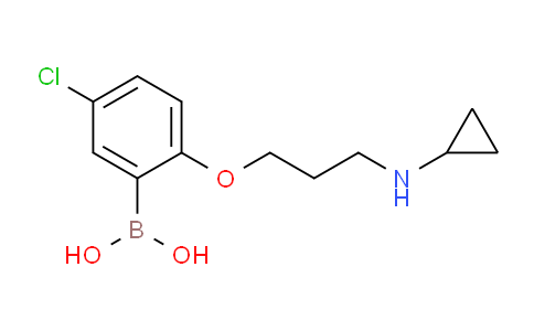 CAS No. 1704066-74-9, (5-chloro-2-(3-(cyclopropylamino)propoxy)phenyl)boronic acid