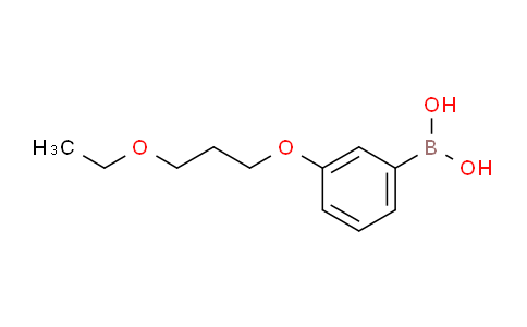CAS No. 1704066-84-1, (3-(3-ethoxypropoxy)phenyl)boronic acid