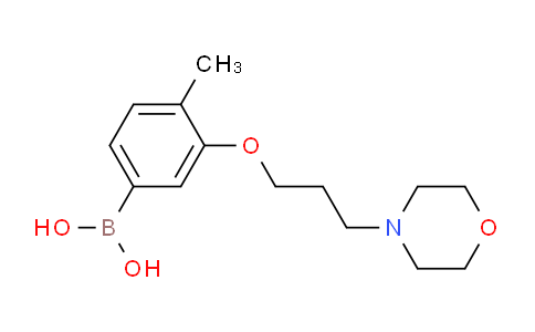 CAS No. 1704066-86-3, (4-methyl-3-(3-morpholinopropoxy)phenyl)boronic acid