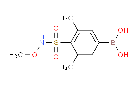 CAS No. 1704069-09-9, (4-(N-methoxysulfamoyl)-3,5-dimethylphenyl)boronic acid