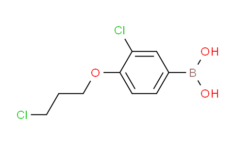 CAS No. 1704074-33-8, (3-chloro-4-(3-chloropropoxy)phenyl)boronic acid