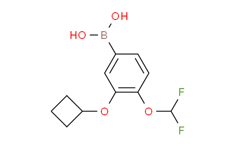 CAS No. 2304634-55-5, (3-Cyclobutoxy-4-(difluoromethoxy)phenyl)boronic acid