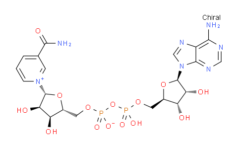 MC707765 | 4090-29-3 | 1-((2R,3R,4S,5R)-5-((((((((2R,3S,4R,5R)-5-(6-amino-9H-purin-9-yl)-3,4-dihydroxytetrahydrofuran-2-yl)methoxy)(hydroxy)phosphoryl)oxy)oxidophosphoryl)oxy)methyl)-3,4-dihydroxytetrahydrofuran-2-yl)-3-carbamoylpyridin-1-ium