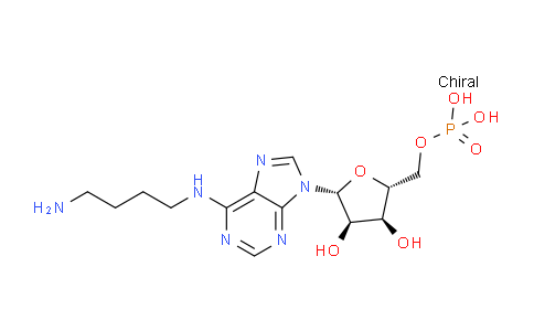 CAS No. 78261-65-1, ((2R,3S,4R,5R)-5-(6-((4-Aminobutyl)amino)-9H-purin-9-yl)-3,4-dihydroxytetrahydrofuran-2-yl)methyl dihydrogen phosphate