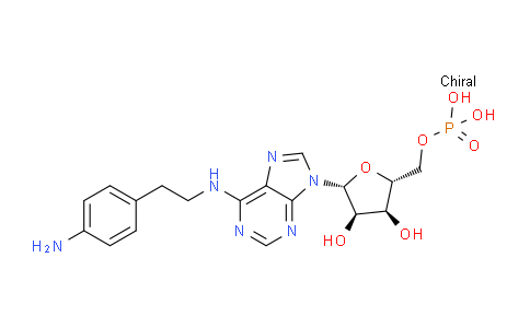 CAS No. 89705-22-6, ((2R,3S,4R,5R)-5-(6-((4-Aminophenethyl)amino)-9H-purin-9-yl)-3,4-dihydroxytetrahydrofuran-2-yl)methyl dihydrogen phosphate