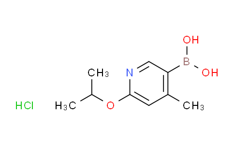 MC716054 | 2377605-84-8 | 6-Isopropoxy-4-methylpyridine-3-boronic acid HCl