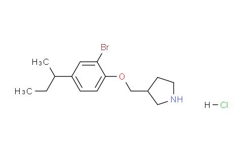 CAS No. 1219948-95-4, 3-((2-Bromo-4-(sec-butyl)phenoxy)methyl)pyrrolidine hydrochloride