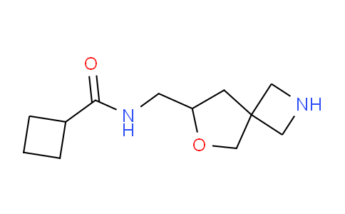 CAS No. 1422066-58-7, N-(6-Oxa-2-azaspiro[3.4]octan-7-ylmethyl)cyclobutanecarboxamide