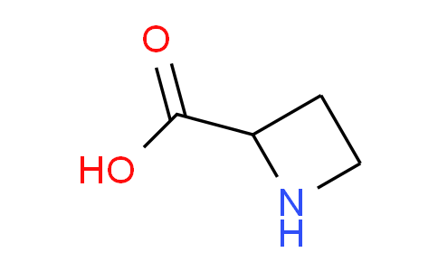 CAS No. 20063-89-2, DL-Azetidine-2-carboxylic acid