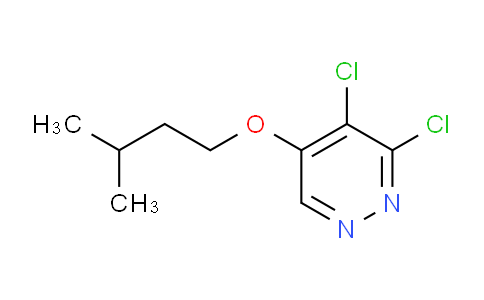 CAS No. 1346698-05-2, 3,4-dichloro-5-(isopentyloxy)pyridazine