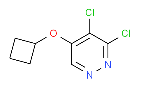 CAS No. 1346698-11-0, 3,4-dichloro-5-cyclobutoxypyridazine