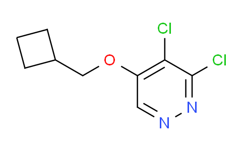 CAS No. 1346698-16-5, 3,4-Dichloro-5-(cyclobutylmethoxy)pyridazine