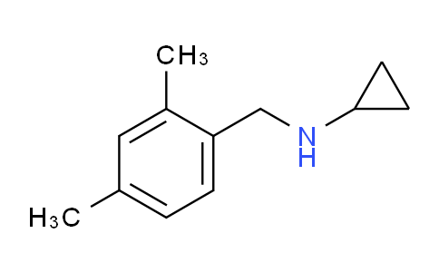CAS No. 926185-86-6, N-(2,4-dimethylbenzyl)cyclopropanamine