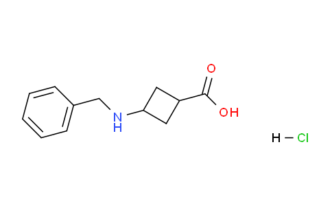 CAS No. 1381948-14-6, 3-(benzylamino)cyclobutane-1-carboxylic acid hydrochloride