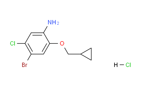 CAS No. 1400644-73-6, 4-Bromo-5-chloro-2-(cyclopropylmethoxy)aniline HCl