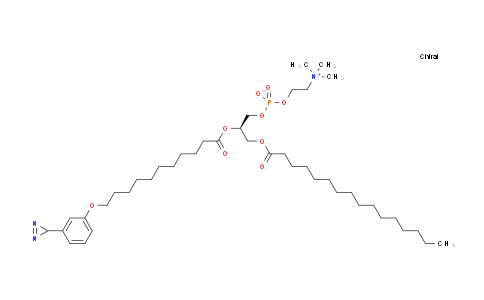 CAS No. 65114-56-9, (R)-2-((11-(3-(3H-diazirin-3-yl)phenoxy)undecanoyl)oxy)-3-(palmitoyloxy)propyl (2-(trimethylammonio)ethyl) phosphate