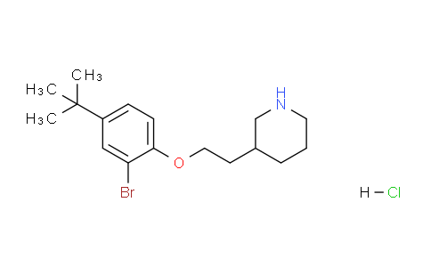 CAS No. 1219961-16-6, 3-(2-(2-Bromo-4-(tert-butyl)phenoxy)ethyl)piperidine hydrochloride