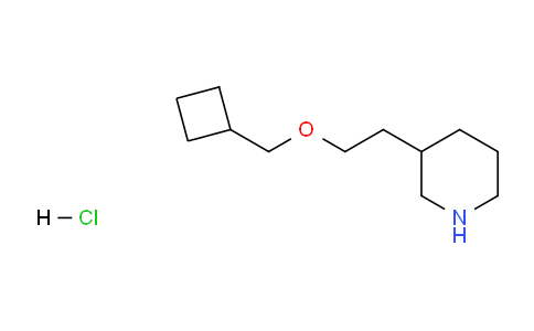 CAS No. 1220016-97-6, 3-(2-(Cyclobutylmethoxy)ethyl)piperidine hydrochloride