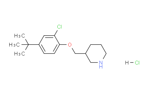 CAS No. 1219972-74-3, 3-((4-(tert-Butyl)-2-chlorophenoxy)methyl)piperidine hydrochloride