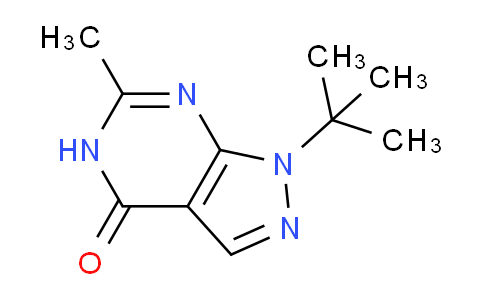 CAS No. 1094253-40-3, 1-tert-butyl-6-methyl-1H,4H,5H-pyrazolo[3,4-d]pyrimidin-4-one