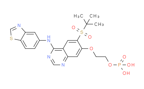 CAS No. 1579965-12-0, 2-((4-(Benzo[d]thiazol-5-ylamino)-6-(tert-butylsulfonyl)quinazolin-7-yl)oxy)ethyl dihydrogen phosphate