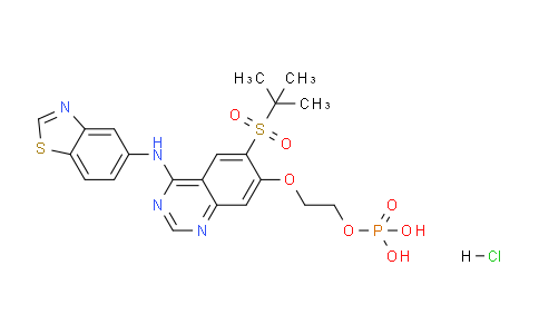 MC779910 | 1579965-19-7 | 2-((4-(Benzo[d]thiazol-5-ylamino)-6-(tert-butylsulfonyl)quinazolin-7-yl)oxy)ethyl dihydrogen phosphate hydrochloride