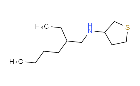 CAS No. 1042560-22-4, N-(2-ethylhexyl)thiolan-3-amine