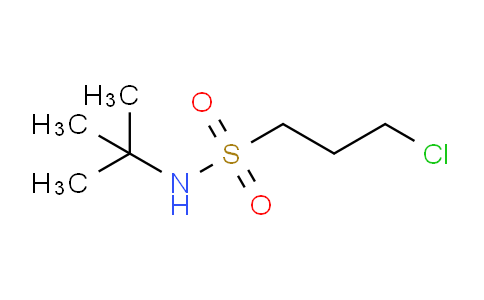CAS No. 63132-85-4, N-tert-butyl-3-chloro-1-propanesulfonamide