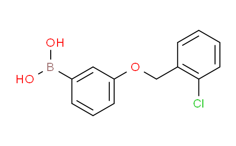 CAS No. 845551-45-3, (3-((2-Chlorobenzyl)oxy)phenyl)boronic acid