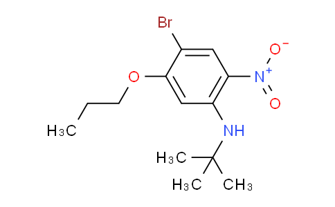 CAS No. 1305322-90-0, 4-Bromo-N-(tert-butyl)-2-nitro-5-propoxyaniline