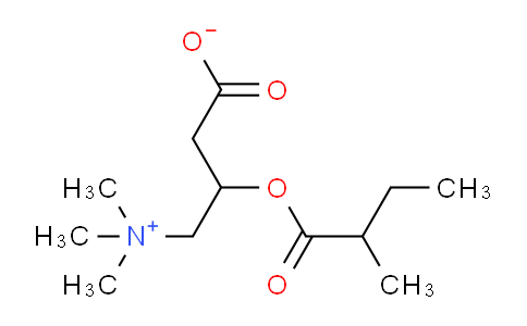 CAS No. 256928-75-3, 3-((2-Methylbutanoyl)oxy)-4-(trimethylammonio)butanoate