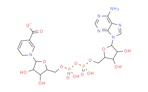 6450-77-7 | 1-[5-[[[[5-(6-aminopurin-9-yl)-3,4-dihydroxy-oxolan-2-yl]methoxy-hydroxy-phosphoryl]oxy-hydroxy-phosphoryl]oxymethyl]-3,4-dihydroxy-oxolan-2-yl]pyridine-5-carboxylate