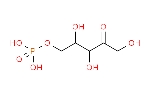 4212-65-1 | 木酮糖-5-磷酸酯