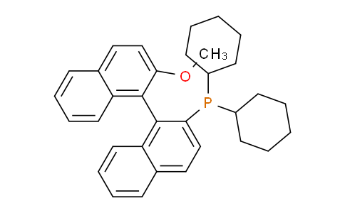DY829182 | 405877-65-8 | (R)-dicyclohexyl(2'-methoxy-[1,1'-binaphthalen]-2-yl)phosphane