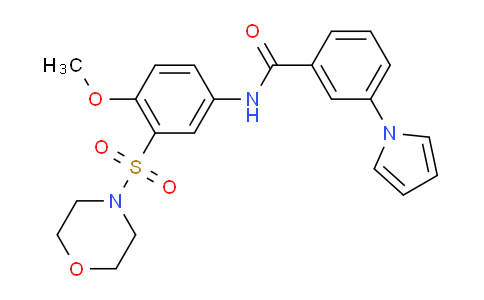 920650-00-6 | N-[4-メトキシ-3-(モルホリン-4-スルホニル)フェニル]-3-(1H-ピロール-1-イル)ベンザミド