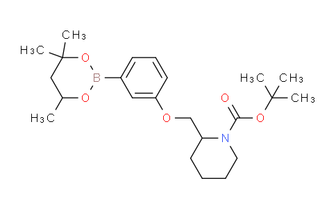 MCM83143 | 2096996-52-8 | 1-Piperidinecarboxylic acid, 2-[[3-(4,4,6-trimethyl-1,3,2-dioxaborinan-2-yl)phenoxy]methyl]-, 1,1-dimethylethyl ester