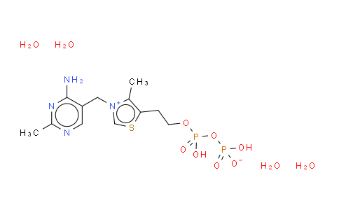 DYR54909 | 68684-55-9 | Cocarboxylase tetrahydrate